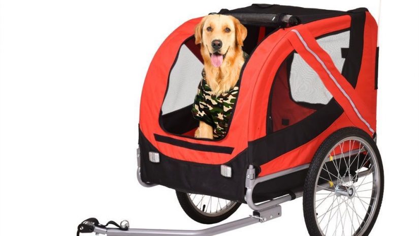 Bike Hire Dog Trailer